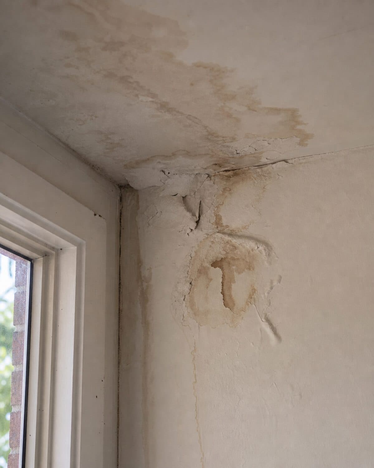 Water damage warning signs